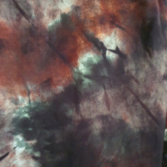 Zara Women's Brown Green Print Tie Front Wide Leg Pants Size L NWT - Picture 5 of 8